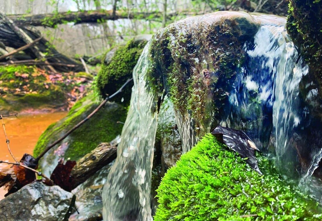 Rudolph family donates property to Broughton Foundation News, Sports